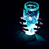 winterbird: (calm - glowing jar)