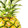 omphale: (fru pineapple)