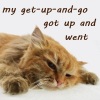 nondenomifan: slumped kitten "my get up and go got up and went" by dhamphir (my get up and go by dhamphir)