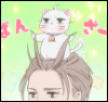 quillpunk: hakutou the cat from the anime My New Boss is Goofy,  currently very proud standing on his owners head :D (proud kitty)