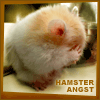 psyco_chick32: (Angst - Hamster)