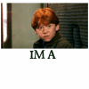 fera_festiva: Harry and Ron with quotes from Wizard People Dear Reader (potter: Pot of coffee by day)