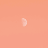 liketheknife: <user name=roses-dream> (Default)