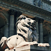 withherhands: (NYC - Library Lions)