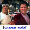 songfire: (ST TOS cetacean needed)