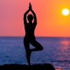 sage: silhouette of a woman in tree pose (yoga)