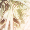 loving_goddess: (Sitting in a tree...)