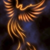 bcgphoenix: (the tango: ....roger and collins?)