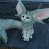 chef_chocobro: ((carbuncle))