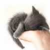 thrilleddumpling: A hand holding out a small grey cat (Animal: Cat: Emergency Kitteh)