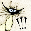 cyare: A scraggly looking cat with bug eyes and the text: !!! (Text: !!!)