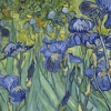 yarnofariadne: a close up of van gogh's irises (misc: love i can't lose)