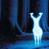 sireesanwar: (Movie: Harry Potter patronus)
