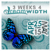 inchoatewords: a grey and blue background with a bright blue butterfly in the corner; the text reads "3 Weeks 4 Dreamwidth" at the top, and to the right of the butterfly, "April 25-May 15" (3weeks4dreamwidth)