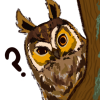 nova_dergs: Long-eared owl peeking around a tree with a question mark beside them. (Long-eared owl)