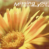 monkiainen: (34 missing you)