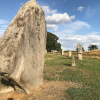purplecat: Averbury Stone Circle.  A large stone close by and smaller markers leading away. (General:Prehistory)