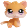 subtropicahigh: kitten who is inherently evil (Default)