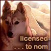 noxelementalist: A wolf resting happily against a background of dog biscuits. Caption: licensed to nom (Diefenbaker)