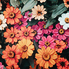 elanastars: brightly colored flowers amid leaves (bright flowers)