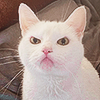 grimmrow: (Default)