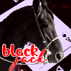 pebbleinalake: (western: black jack)
