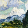 scifirenegade: Wheat Field with Cypresses (van gogh)