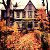 huxleyenne: (old house)