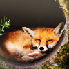 huxleyenne: (sleeping fox)