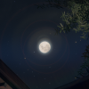 dawnhaze: A picture of the moon (Nightly_moon)