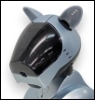 lightning_beast: A photograph of a robot dog, specifically an Aibo ERS-210 in silver. (Delta)