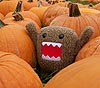 lisforlilydale: (domo pumpkin)