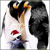 ranalore: (santa penguins are the best)