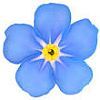 littlecatpants: (Forget-Me-Not)