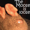 moosemod: (Default)