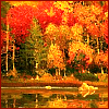 watersword: Fall foliage on the edge of a lake (Stock: autumn)