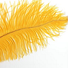 conglomerelda: (Feather)