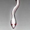 totaldadbeat: (another snek icon)