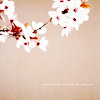 3am: (cherry blossoms)