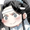 incomplete_ruler: (lan sizhui [mdzs])