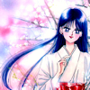 sarajayechan: Rei in her priestess robes amidst cherry blossom trees ([Sailor Moon] Rei)