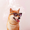 magicrubbish: Stock icon - Dog in sunglass (Cute dog)