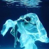 but_can_i_be_trusted: (Aquatic)