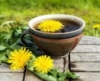 dandelion_coffee: (dandelion coffee)