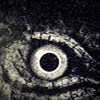 116_520: (eye)