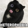 seraphikiss: (heterophobia)