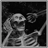 skeran: (screaming skeleton)