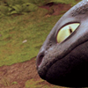 toofless: (You can take the dragon out of the wild)