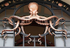 onceandfuturecity: (octopus)