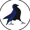 friend_crow: Based on a photo of a jackdaw, but I drew it so now it's a crow. (pic#18361695)